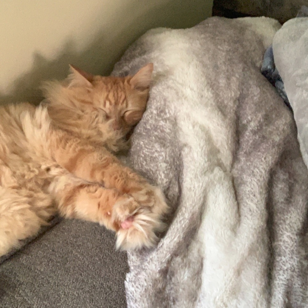 Meet your Posher, April